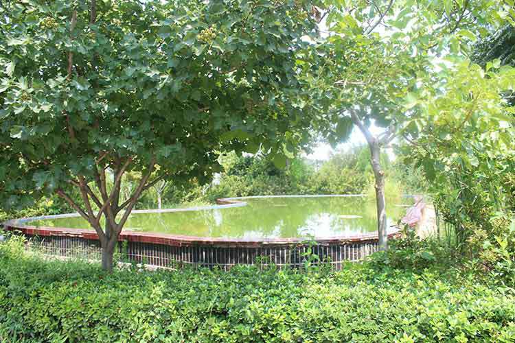 百老汇·(中国)官方网站-登录入口机械厂区环境优美